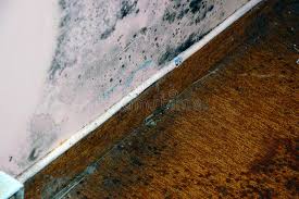 mold on wall and wooden surface